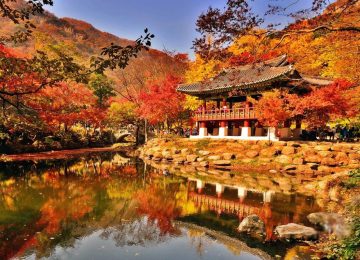 TOUR HÀN QUỐC (Miễn Visa): Núi Seorak – Incheon – Seoul – Nami – Kim Chi Show (6N5Đ)