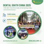 DENTAL SOUTH 2025 – Triển lãm nha khoa quốc tế tại Quảng Châu