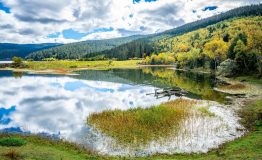 Shudu lake shoreline view with fall colors forest and overcast weather in Potatso national park Shangri-La Yunnan China