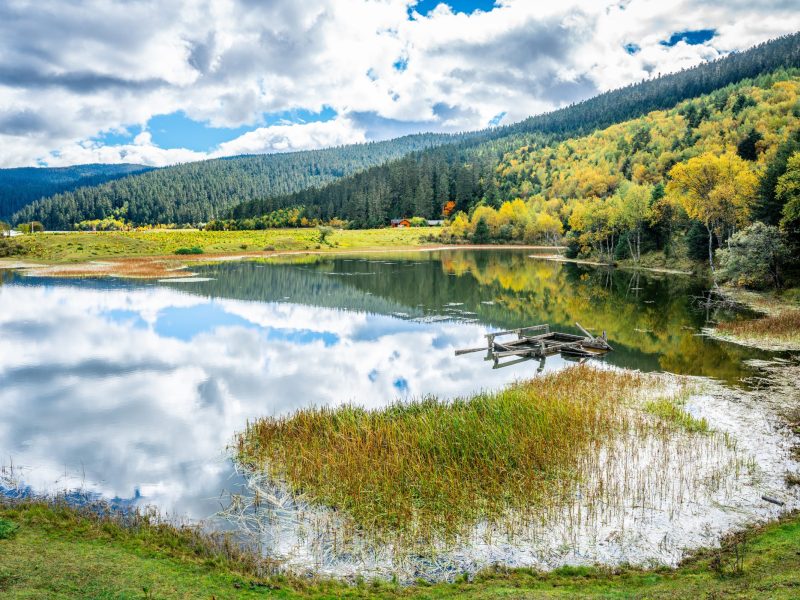 Shudu lake shoreline view with fall colors forest and overcast weather in Potatso national park Shangri-La Yunnan China