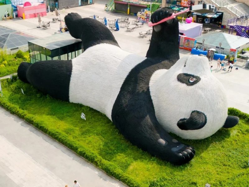 世界上醉大的熊猫！来成都千万别错过都江堰！_1_旅行定制师-栗子🌰_来自小红书网页版
