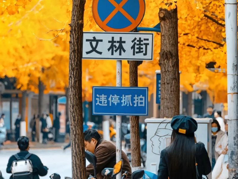接下来昆明文林街，你准备好了吗？_1_AMBIT拓野_来自小红书网页版