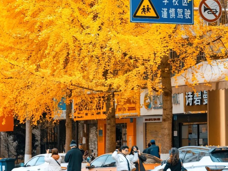 接下来昆明文林街，你准备好了吗？_4_AMBIT拓野_来自小红书网页版