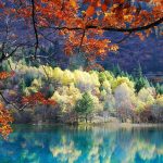 🍂🇨🇳 MÙA THU TRUNG QUỐC – MÙA VÀNG ĐẸP NHẤT TRONG NĂM 🌸🏞️