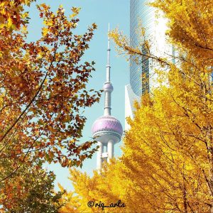 Thượng Hải Noshop