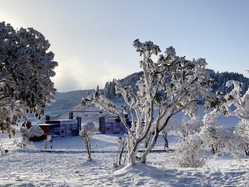 z7218590071456_34f98cccbe868150362426dccd8a5195