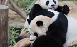 z7218594089965_3eb61c303ee17e7042c912f2493f910b