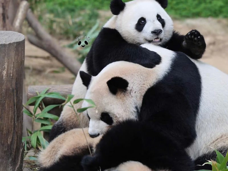 z7218594089965_3eb61c303ee17e7042c912f2493f910b