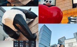 z7218594097459_932215ed18032713c5b2dcc97015492d