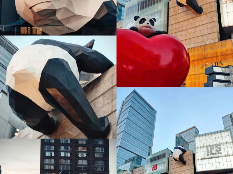 z7218594097459_932215ed18032713c5b2dcc97015492d