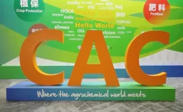 p2024040709175732d4b