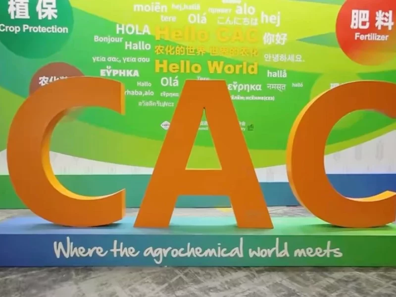 p2024040709175732d4b